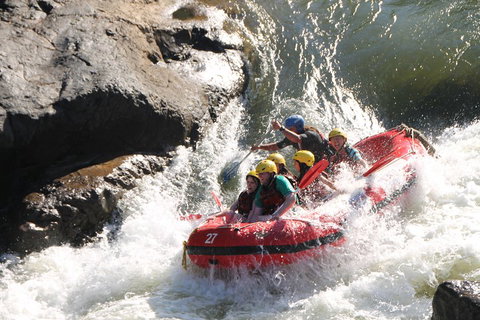 Barron Gorge National Park Half-Day White Water Rafting From Cairns Or Port Douglas - Accommodation in Surfers Paradise 2