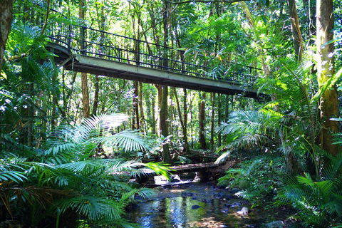 Cape Tribulation, Mossman Gorge, And Daintree Rainforest Day Trip From Cairns Or Port Douglas - Accommodation in Surfers Paradise 3