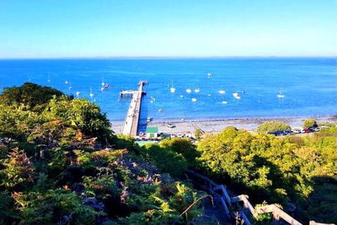 Mornington Peninsula Sightseeing Tour For 2-6 Guests. - Accommodation in Surfers Paradise 1