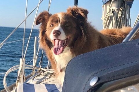 Mornington Peninsula Sightseeing Tour For 2-6 Guests. - Accommodation in Surfers Paradise 2