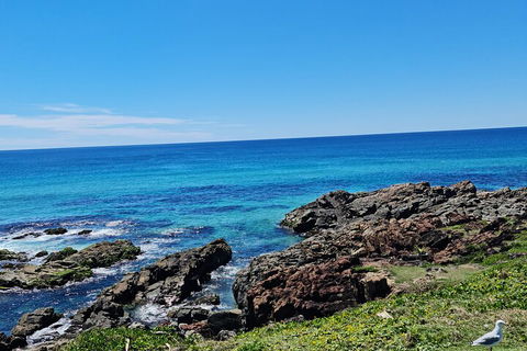 Private Custom Byron Bay Day Out - Accommodation in Surfers Paradise 4