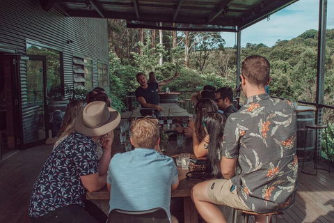 Private Custom Byron Bay Day Out - Accommodation in Surfers Paradise 5