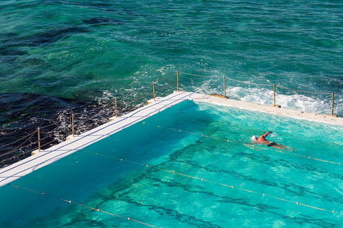 Small Group Essential Sydney Tour Including Lunch - Accommodation in Surfers Paradise 5
