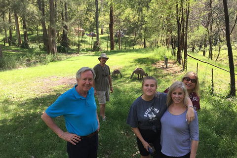 Small Group Blue Mountains Day Tour From Sydney - Accommodation in Surfers Paradise 1