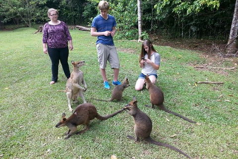 Small Group Blue Mountains Day Tour From Sydney - Accommodation in Surfers Paradise 2