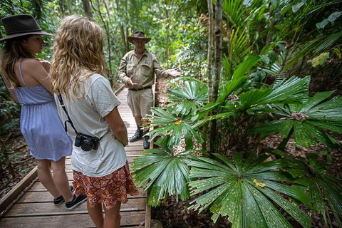 2 Day Daintree Rainforest, Cape Tribulation And Outback Chillagoe Tour - Accommodation in Surfers Paradise 2