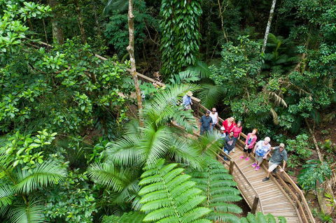 2 Day Daintree Rainforest, Cape Tribulation And Outback Chillagoe Tour - Accommodation in Surfers Paradise 3