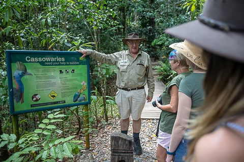 2 Day Daintree Rainforest, Cape Tribulation And Outback Chillagoe Tour - Accommodation in Surfers Paradise 5