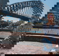 The Rocks  Darling Harbour With A Local Private  Personalized - Accommodation in Surfers Paradise