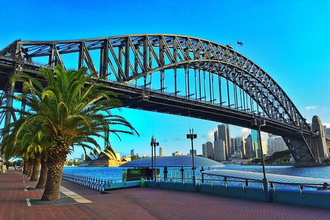 The Rocks & Darling Harbour With A Local: Private & Personalized - Accommodation in Surfers Paradise 2
