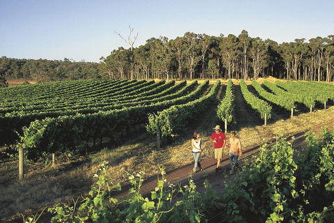 Margaret River, Caves, Wine And Cape Leeuwin Lighthouse Tour From Perth - Accommodation in Surfers Paradise 1