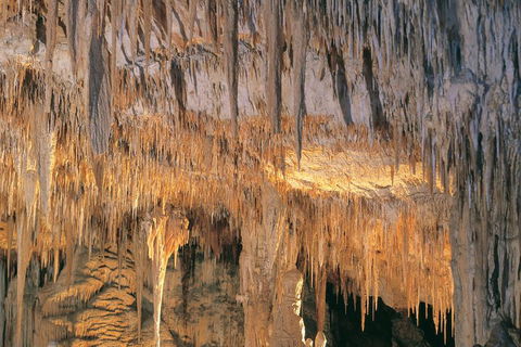 Margaret River, Caves, Wine And Cape Leeuwin Lighthouse Tour From Perth - Accommodation in Surfers Paradise 3