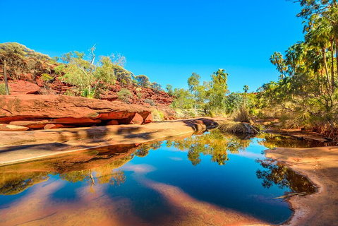 7-Day Guided Tour Of Alice Springs With Accommodation Included - Accommodation in Surfers Paradise 1