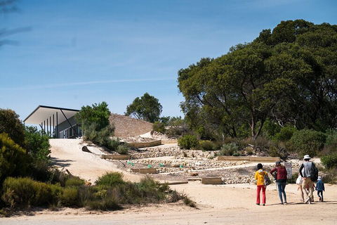 2-Hour Koala Walking Tour In Kangaroo Island - Accommodation in Surfers Paradise 3