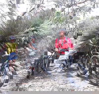 2 Hour Bike Tour in Kangaroo Island - Accommodation in Surfers Paradise