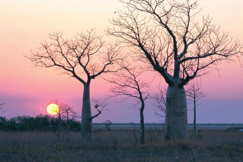 8-Day Outback Experience From Queensland - Accommodation in Surfers Paradise 5