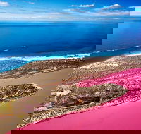 Pink Lake Small-Group Buggy Tour - Accommodation in Surfers Paradise