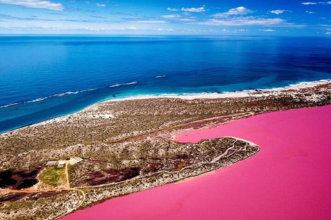 Pink Lake Small-Group Buggy Tour - Accommodation in Surfers Paradise 0