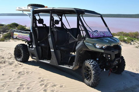 Pink Lake Small-Group Buggy Tour - Accommodation in Surfers Paradise 1