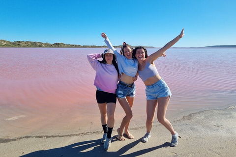 Pink Lake Small-Group Buggy Tour - Accommodation in Surfers Paradise 3