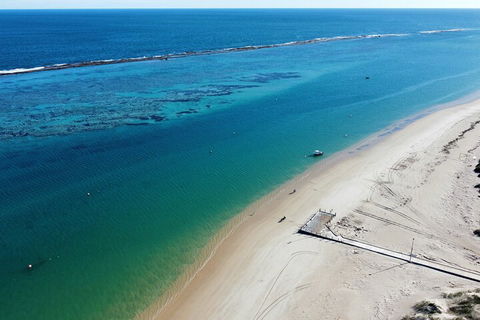 Pink Lake Small-Group Buggy Tour - Accommodation in Surfers Paradise 5