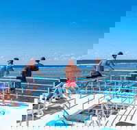 Calypso Outer Great Barrier Reef Cruise from Port Douglas - Accommodation in Surfers Paradise