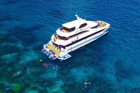 Great Barrier Reef Snorkeling And Diving Cruise From Cairns - Accommodation in Surfers Paradise 5