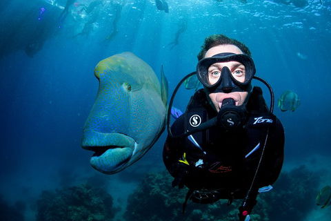 Full Day Reef Cruise Including 10 Minute Heli Scenic Flight: Get High Package - Accommodation in Surfers Paradise 1