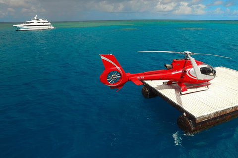 Full Day Reef Cruise Including 10 Minute Heli Scenic Flight: Get High Package - Accommodation in Surfers Paradise 3