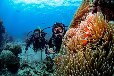 Full Day Reef Cruise Including 10 Minute Heli Scenic Flight: Get High Package - Accommodation in Surfers Paradise 5