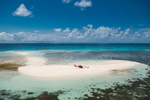 Private Helicopter Tour: Reef Island Snorkeling And Gourmet Picnic Lunch - Accommodation in Surfers Paradise 4