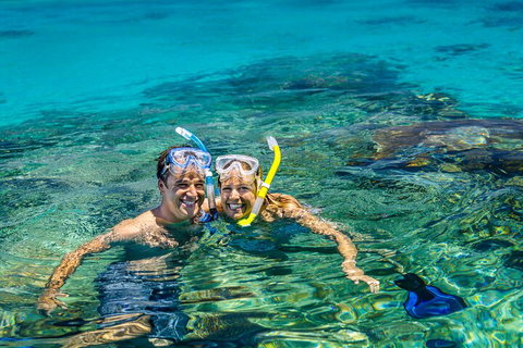 Fly To Green Island - Cruise Return - Accommodation in Surfers Paradise 2