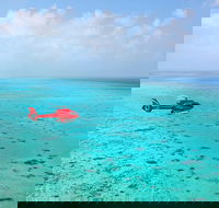 Port Douglas Scenic Flights - Accommodation in Surfers Paradise