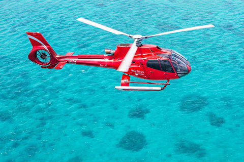 Port Douglas Scenic Flights - Accommodation in Surfers Paradise 2