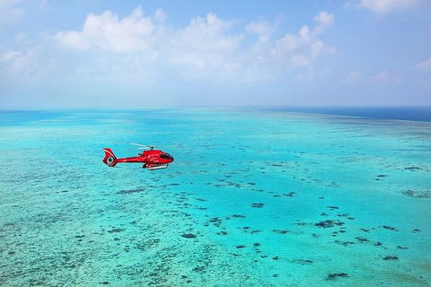 Great Barrier Reef 30-Minute Scenic Helicopter Tour From Cairns - Accommodation in Surfers Paradise 2
