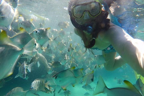 Moreton Island Snorkel And Sandboarding 4WD Day Trip From Brisbane - Accommodation in Surfers Paradise 3