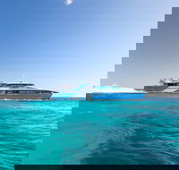 Fremantle to Rottnest Island Roundtrip Ferry Ticket - Accommodation in Surfers Paradise