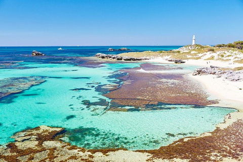Fremantle To Rottnest Island Roundtrip Ferry Ticket - Accommodation in Surfers Paradise 2