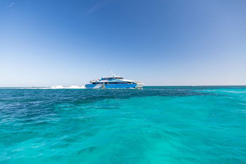 Rottnest Island Fortress Adventure Segway Package From Fremantle - Accommodation in Surfers Paradise 0