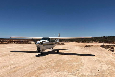 Kalbarri Gorges & West Coast - Ground & Air Tour - Accommodation in Surfers Paradise 4