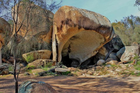 Wave Rock & Rottnest Island - Air & Ground Tour - Accommodation in Surfers Paradise 4