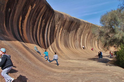 Wave Rock Half Day Air & Ground Tour - Accommodation in Surfers Paradise 2