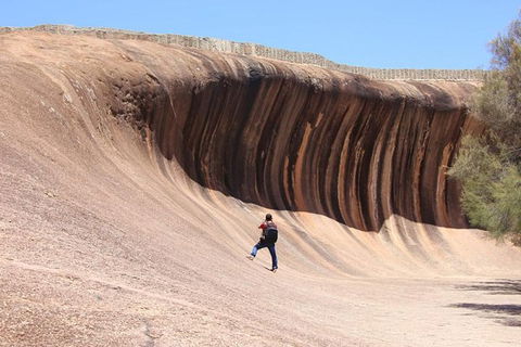 Wave Rock Half Day Air & Ground Tour - Accommodation in Surfers Paradise 3