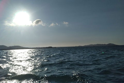 Townsville Small Group Early Morning Sailing Cruise Boat Tour Charter Hire - Accommodation in Surfers Paradise 4