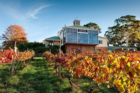 Adelaide Hills Food, Wine, Cheese, & Chocolate - Private Day Tour - Accommodation in Surfers Paradise 3