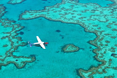 Reef And Island Scenic Flight From Airlie Beach - Accommodation in Surfers Paradise 4