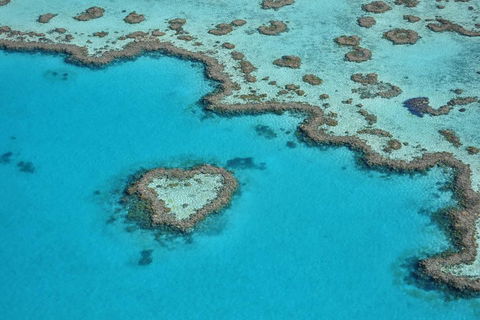 Reef And Island Scenic Flight From Airlie Beach - Accommodation in Surfers Paradise 5