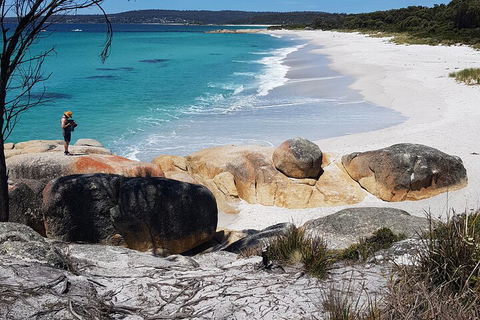 2-Day Tas East Coast Escape Tour Including Bay Of Fires, Wineglass Bay & Devils - Accommodation in Surfers Paradise 4