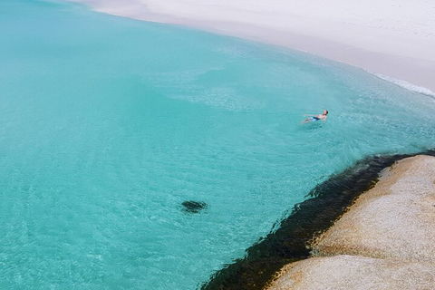 2-Day Tas East Coast Escape Tour Including Bay Of Fires, Wineglass Bay & Devils - Accommodation in Surfers Paradise 5