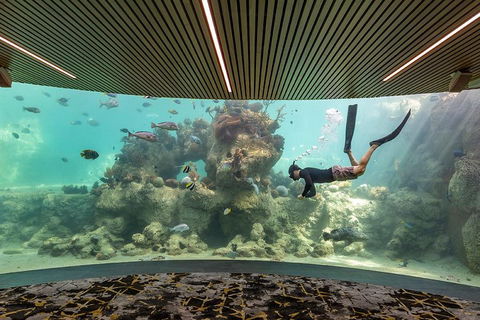 Whitehaven Beach And Daydream Island Cruise - Accommodation in Surfers Paradise 4